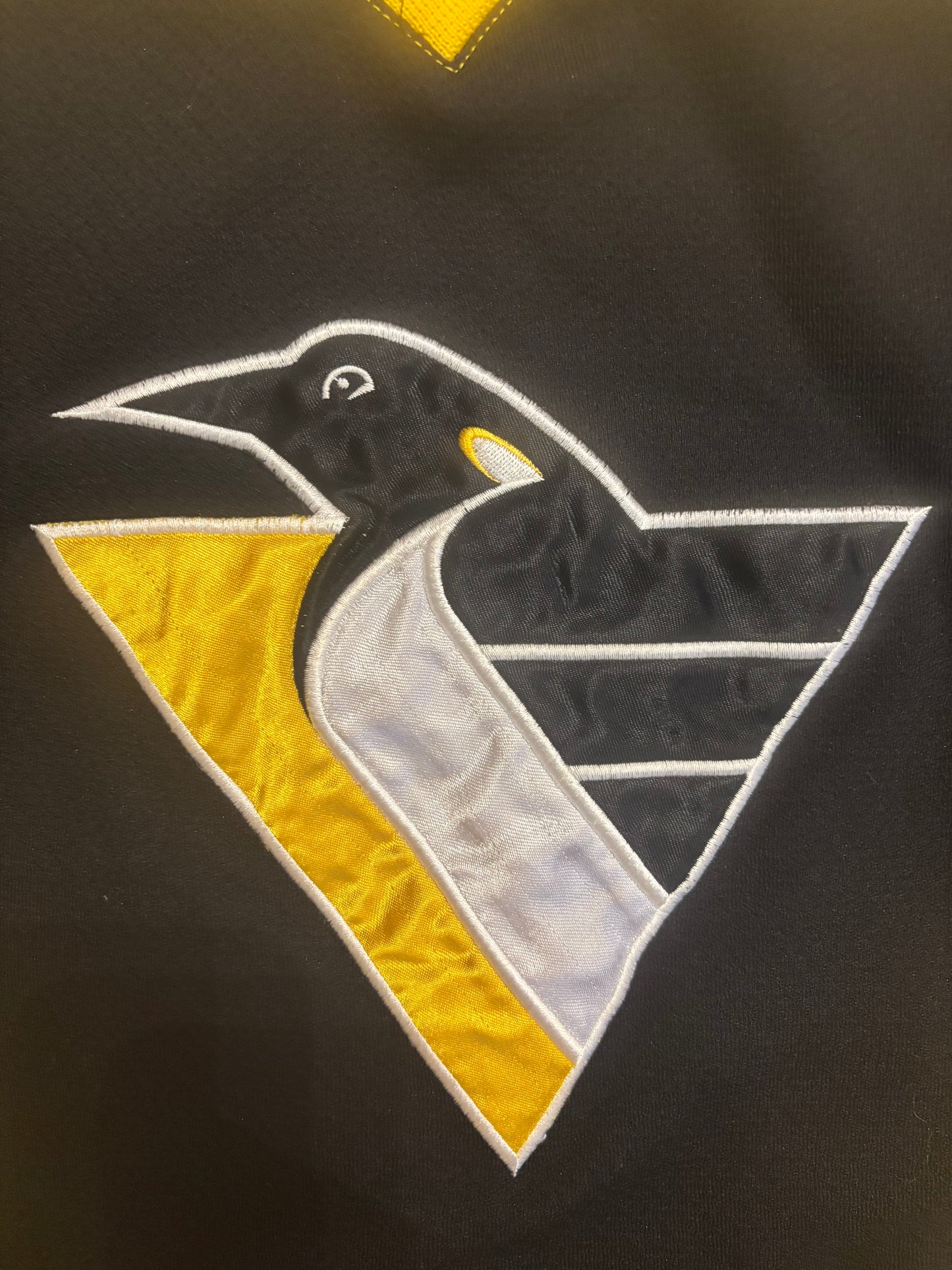 1990’s Youth Penguins Jagr Jersey