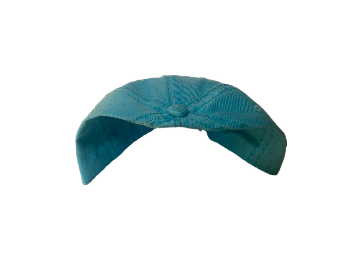 PSV Blue Bomber Dad Hat