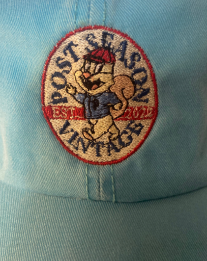 PSV Blue Bomber Dad Hat