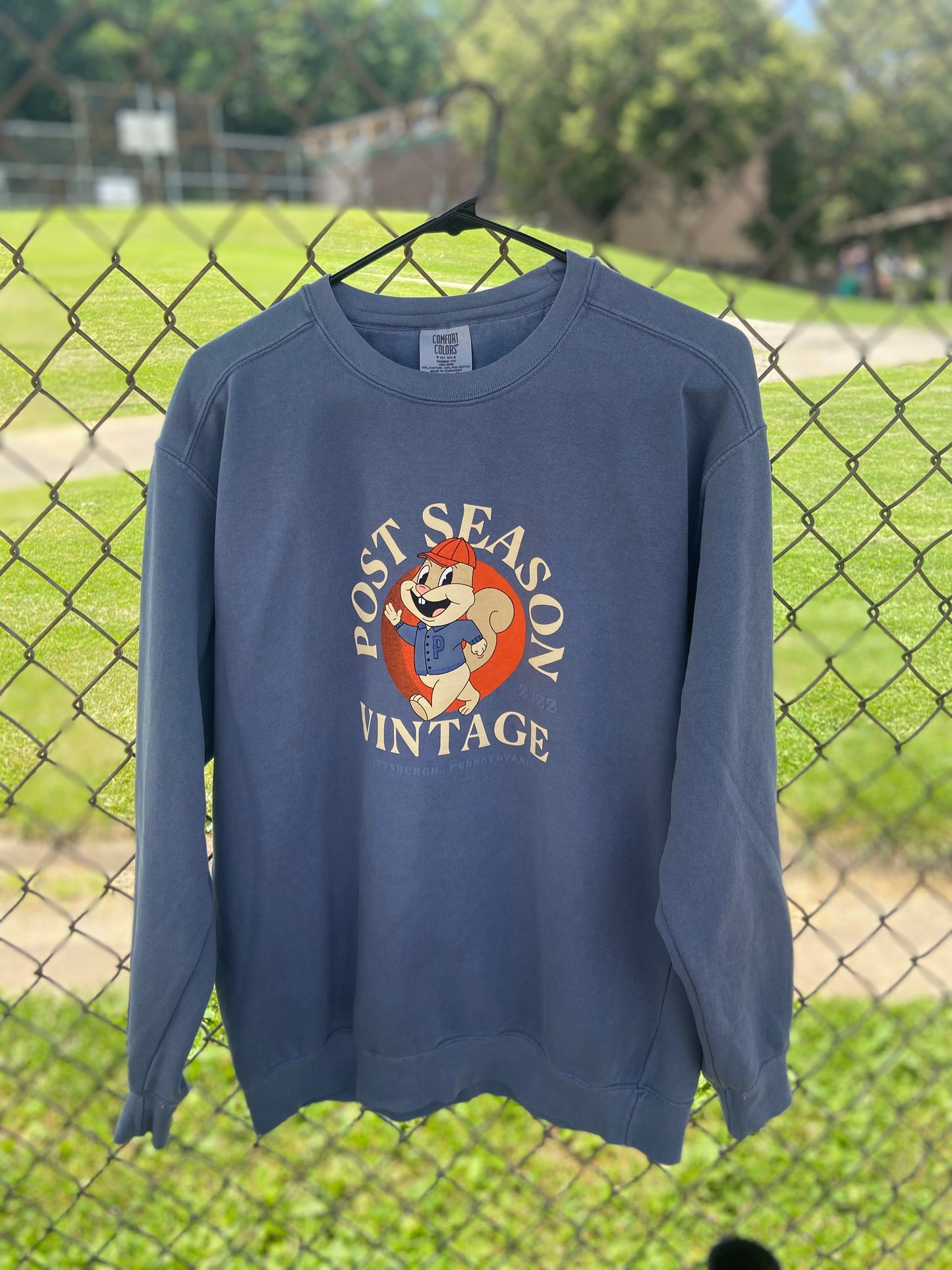Post Season Vintage Crewneck
