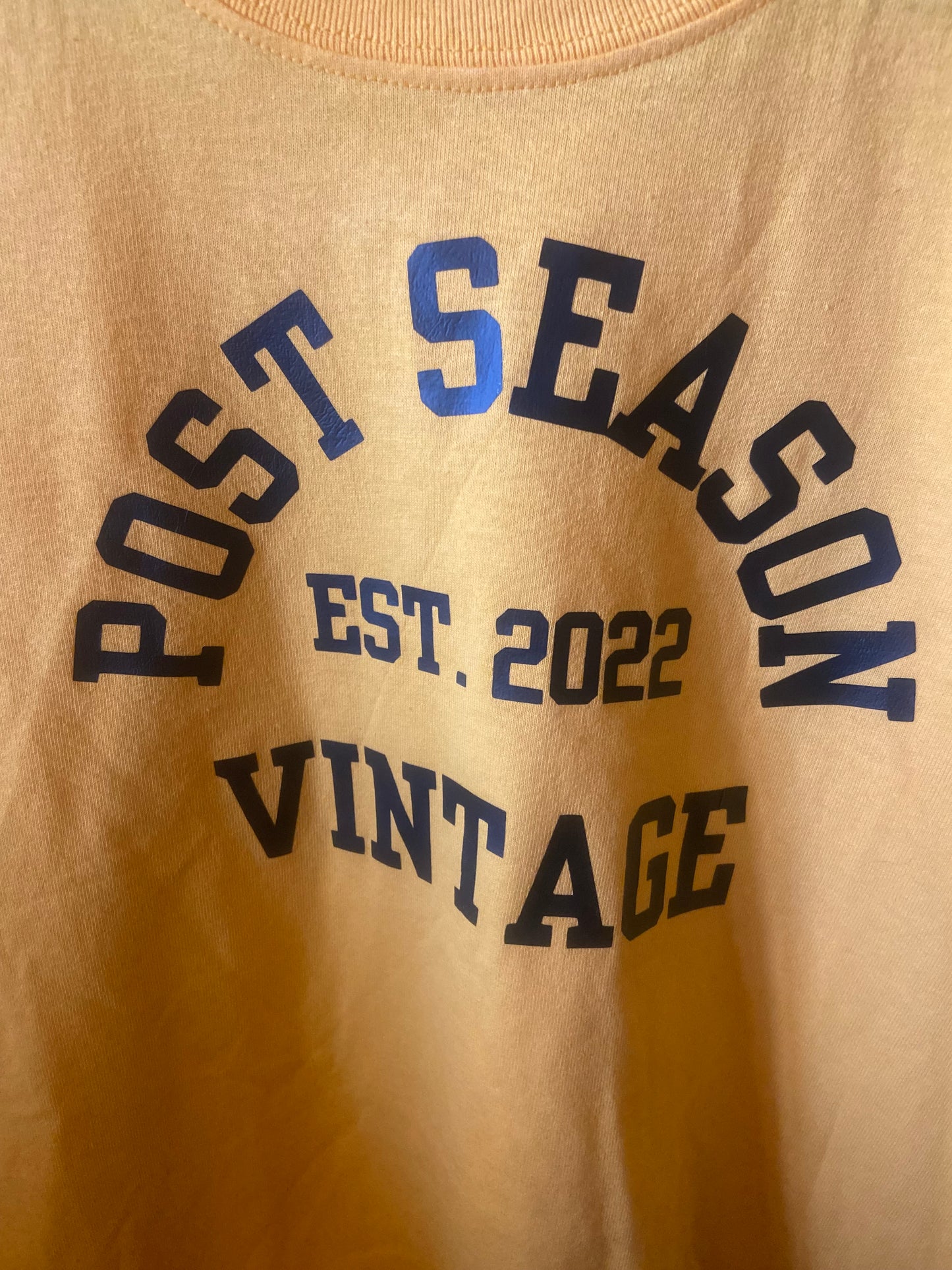 Post Season Vintage Prototype Tee