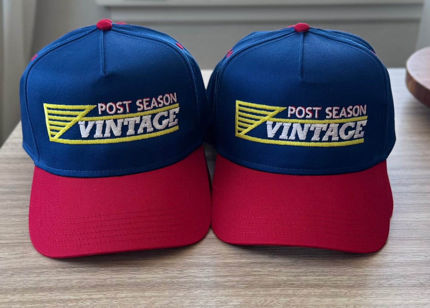 The PSV Flyer SnapBack