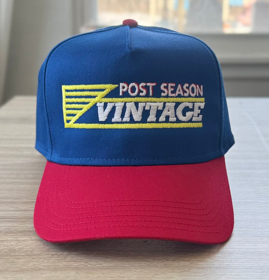 The PSV Flyer SnapBack